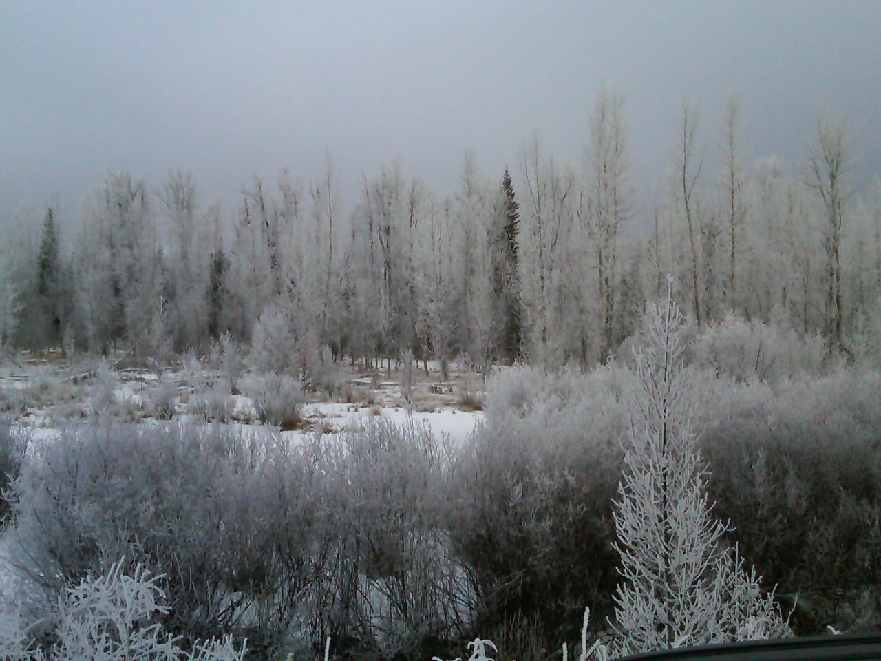 Polebridge, MT: Our First&nbsp;Sleepover