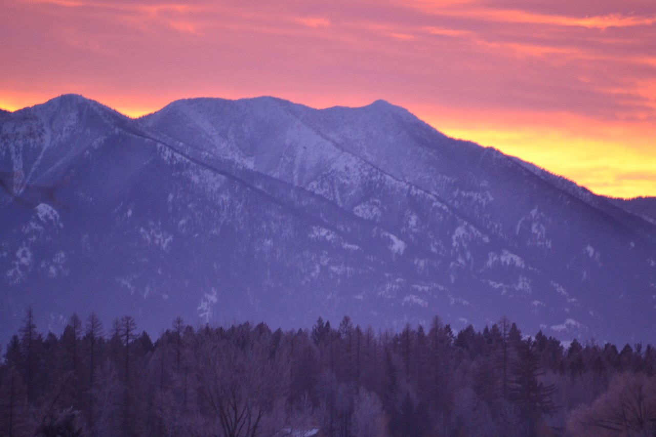 Polebridge, MT: Frost-n-Squash