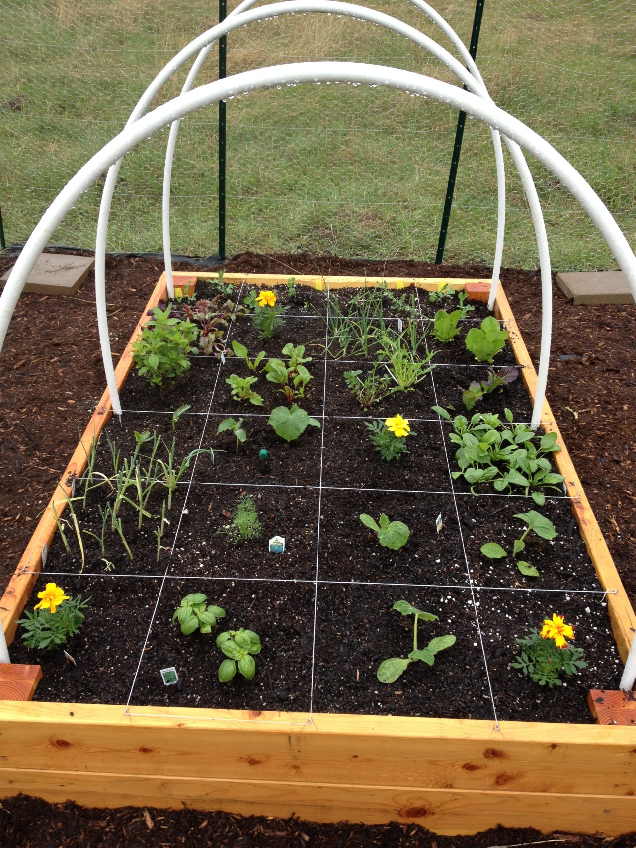 Polebridge, MT: Square Foot&nbsp;Gardening