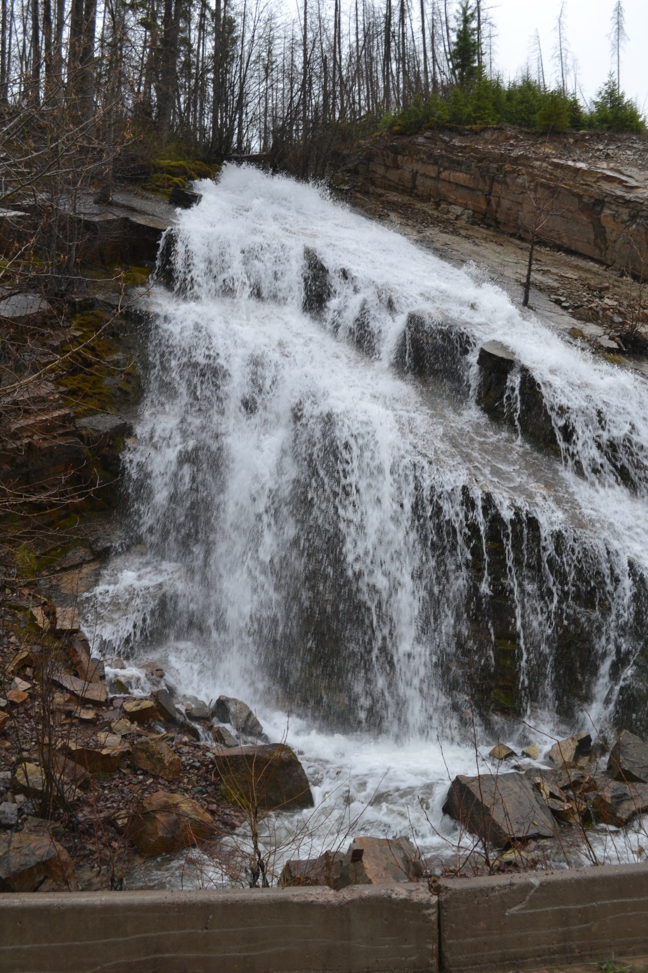 Polebridge, MT: That Which Doesn’t Kill Us&nbsp;…