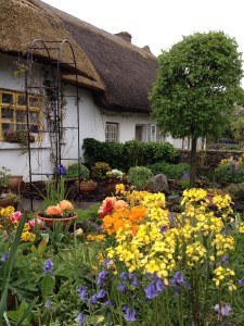 Thatched cottages in Adare
