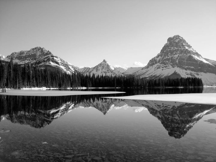 Polebridge, MT: The Bare&nbsp;Necessities