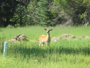 What's going on here?