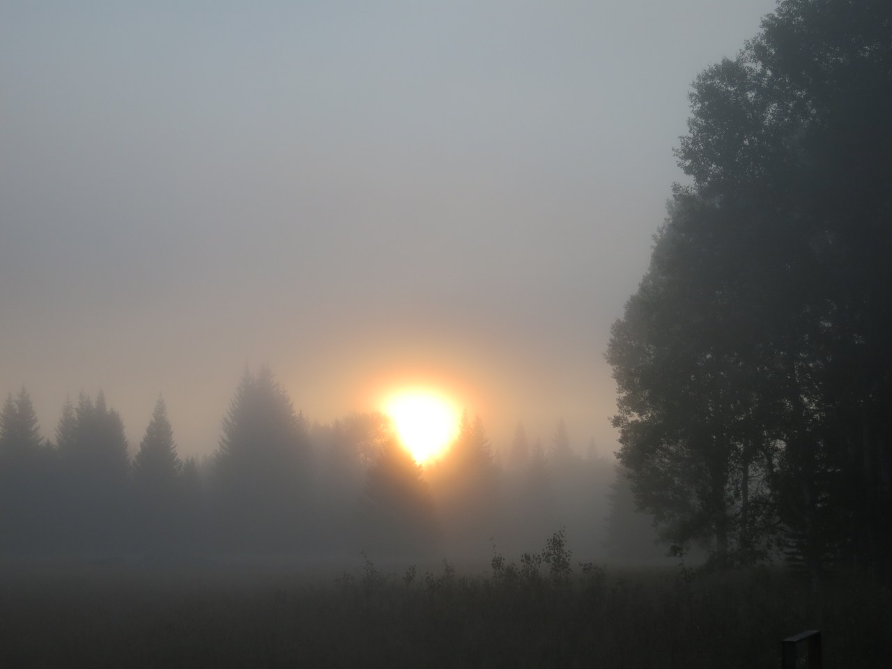 Polebridge, MT: Neo-Pioneers