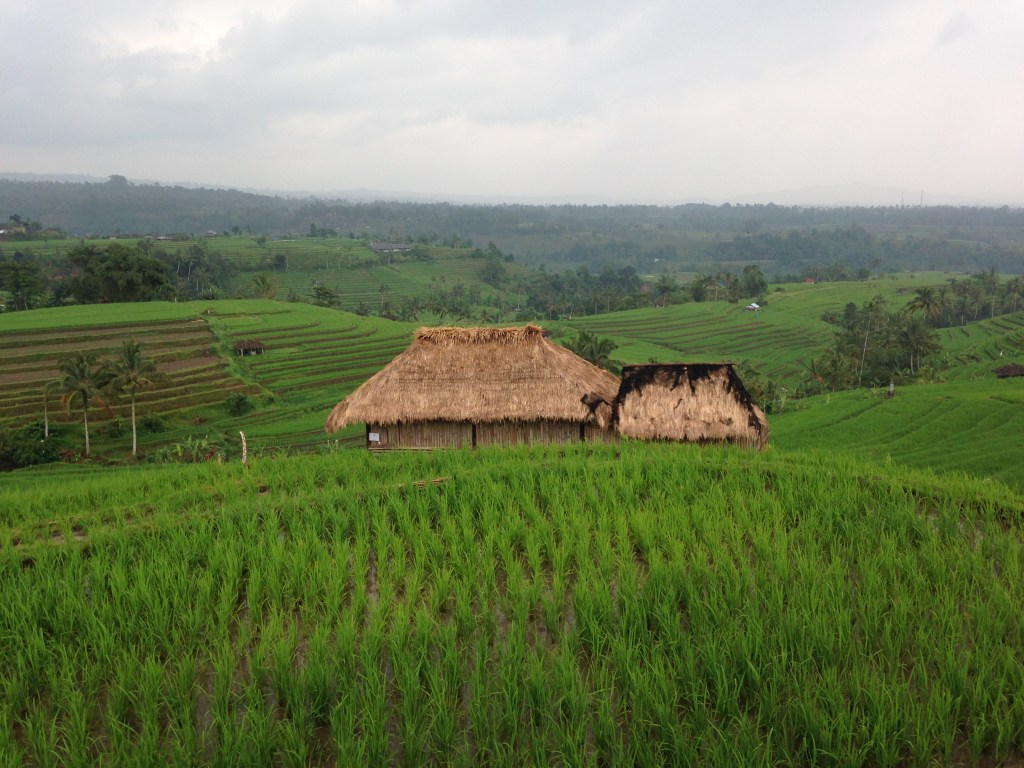 Hut in field