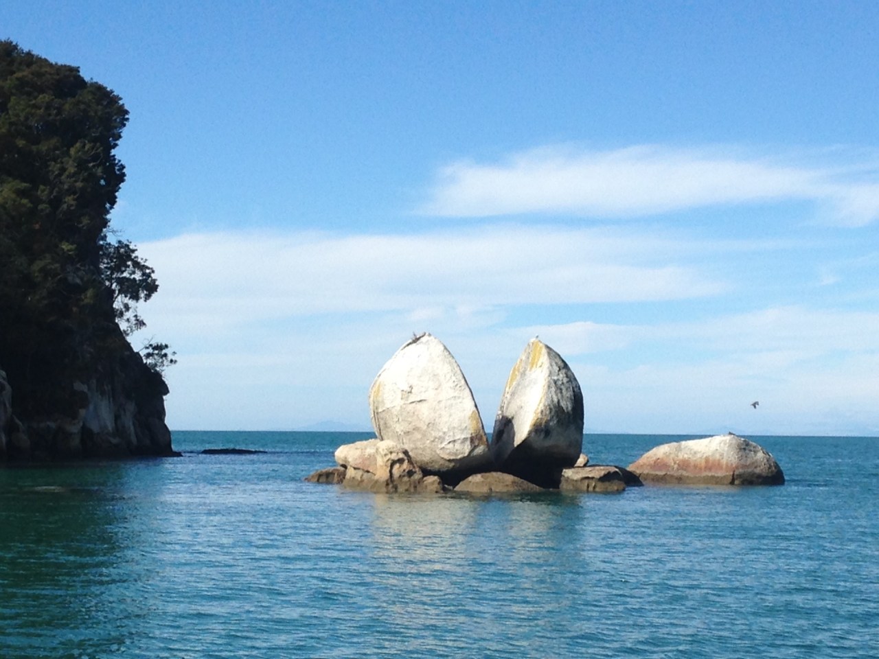 Notes from New Zealand: Part&nbsp;V