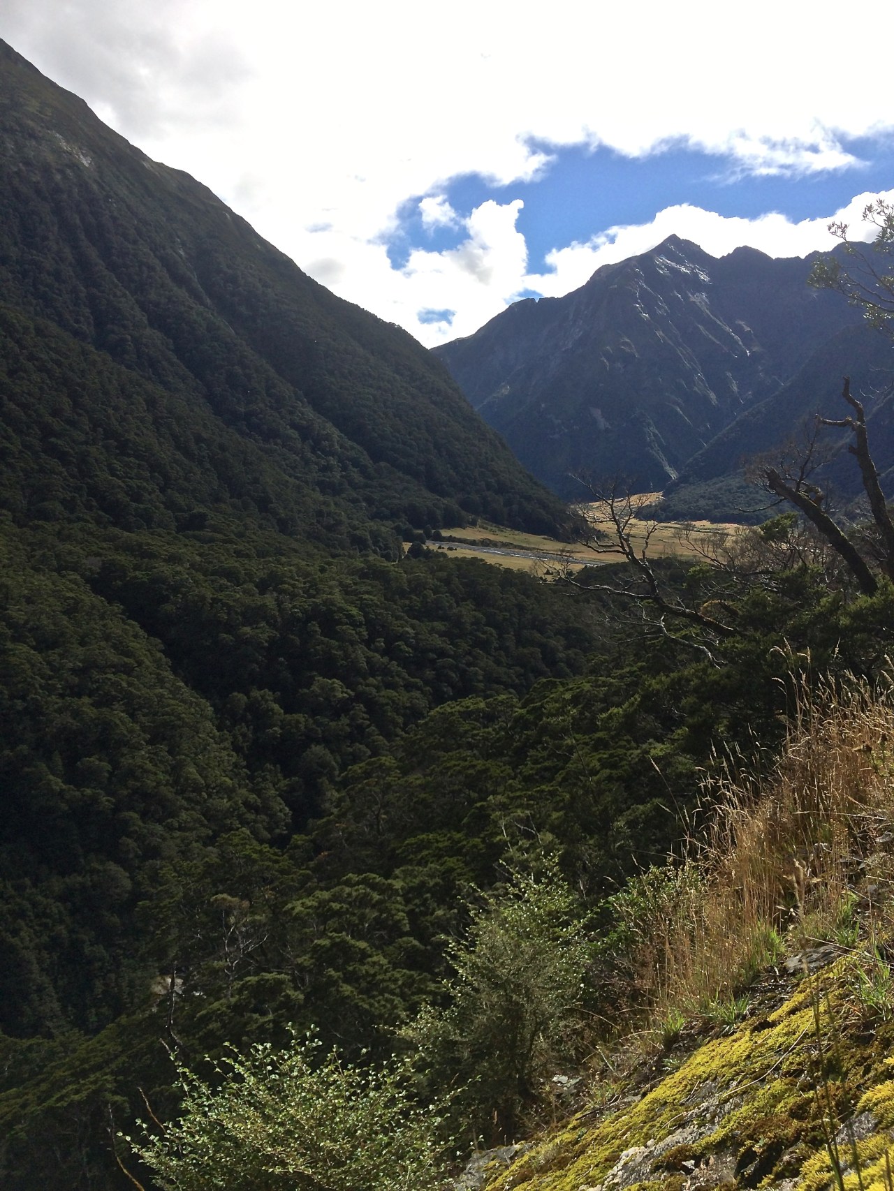 Notes from New Zealand: Part&nbsp;III