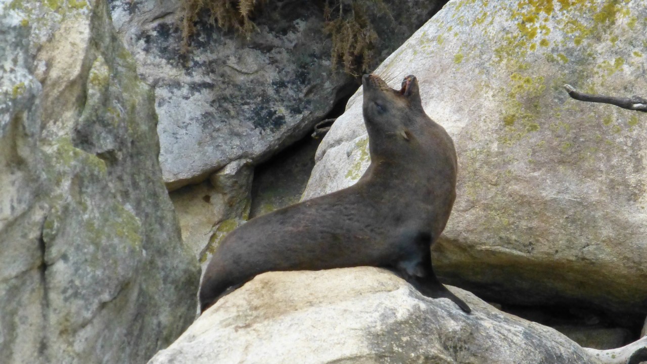 Notes from New Zealand: Part&nbsp;VII