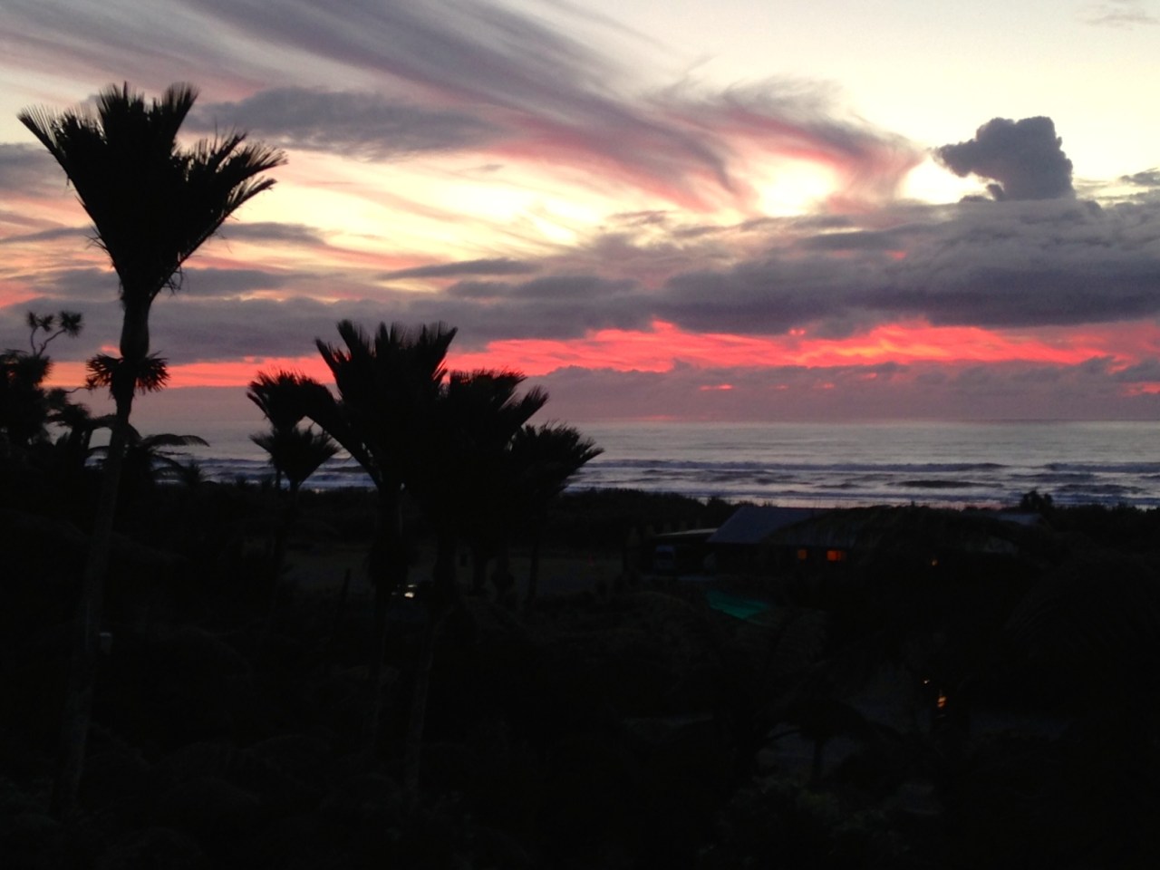 Notes from New Zealand: Part&nbsp;IV