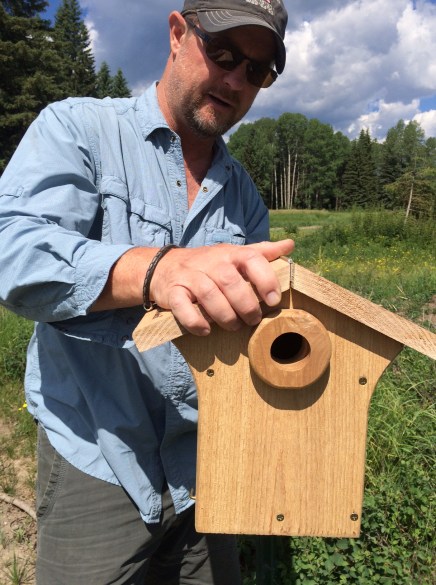 The Alternative Housing Program