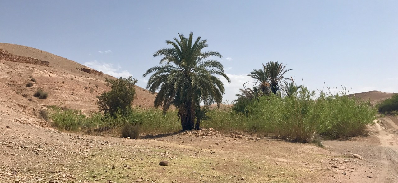 Morocco #3: The Danger of the&nbsp;Desert