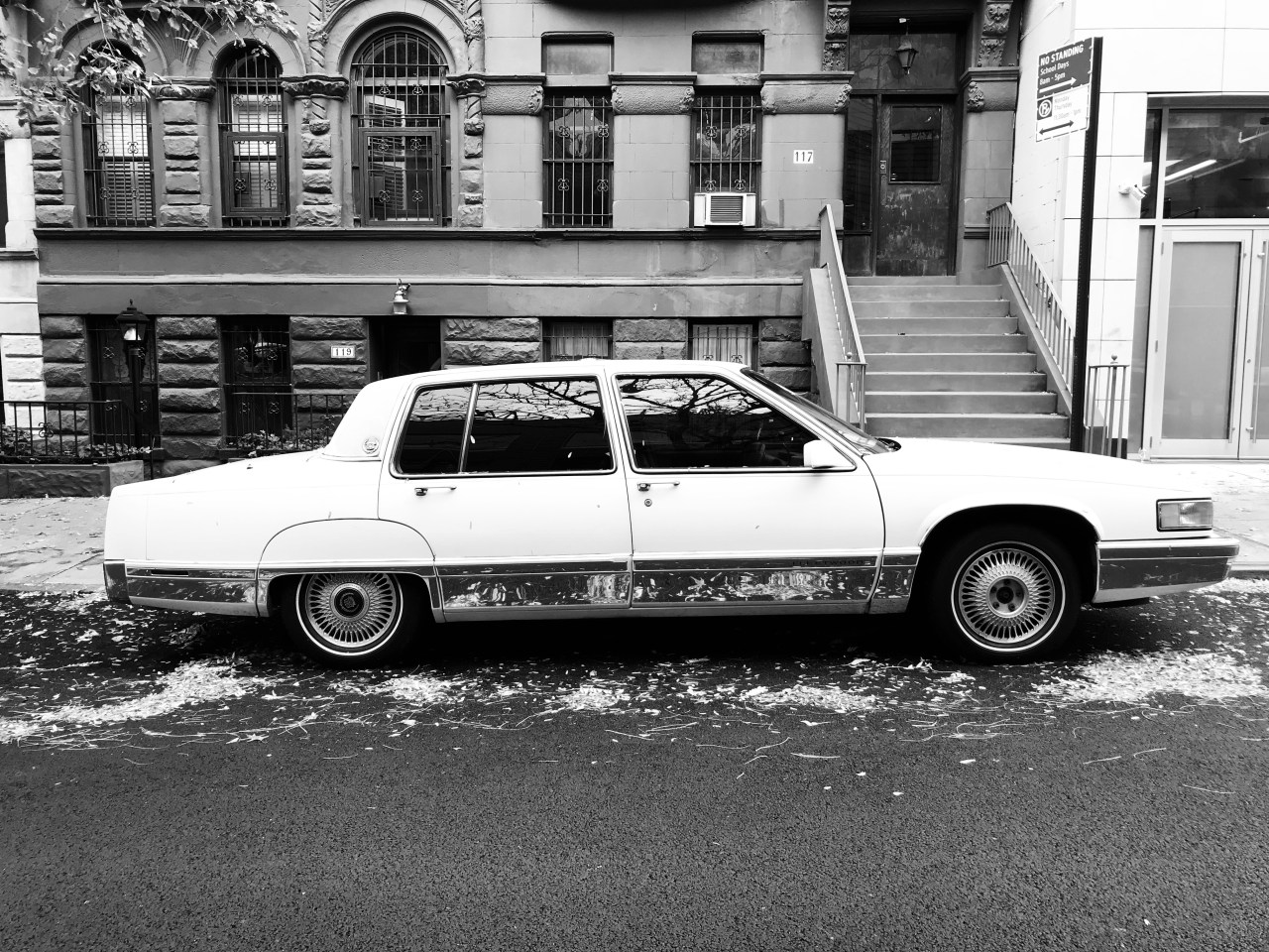 NYC: An Urban&nbsp;Safari